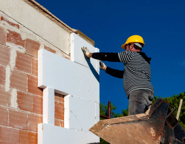 Best Insulation Maintenance and Repair in Pierz, MN