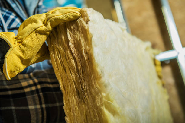 Best Insulation Installation Services in Pierz, MN