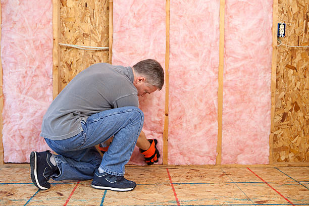 Best Commercial Insulation in Pierz, MN