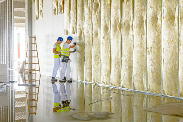 Best Residential Insulation in Pierz, MN
